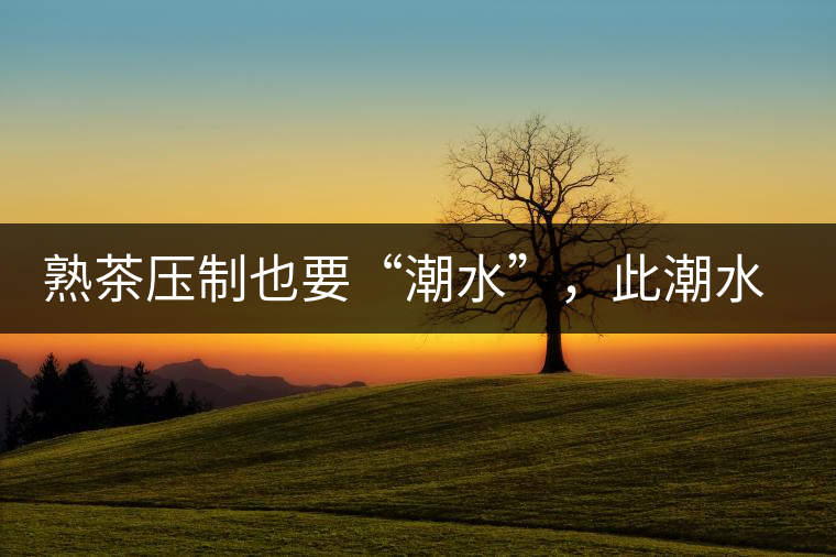 熟茶壓制也要“潮水”，此潮水的目的是什么？