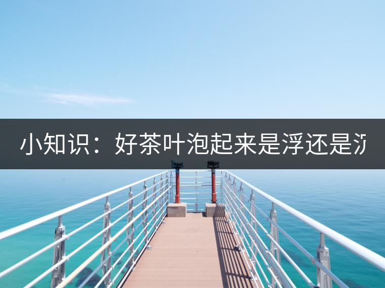 小知識：好茶葉泡起來是浮還是沉？