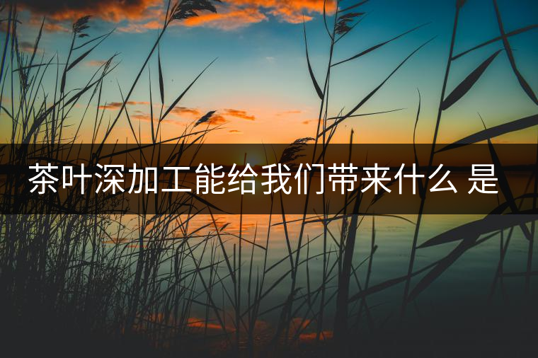 茶葉深加工能給我們帶來(lái)什么 是利還是弊呢？