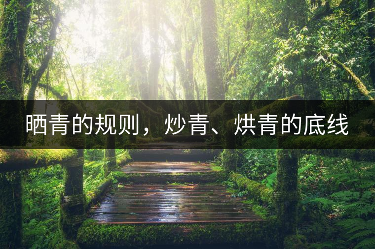 曬青的規(guī)則，炒青、烘青的底線