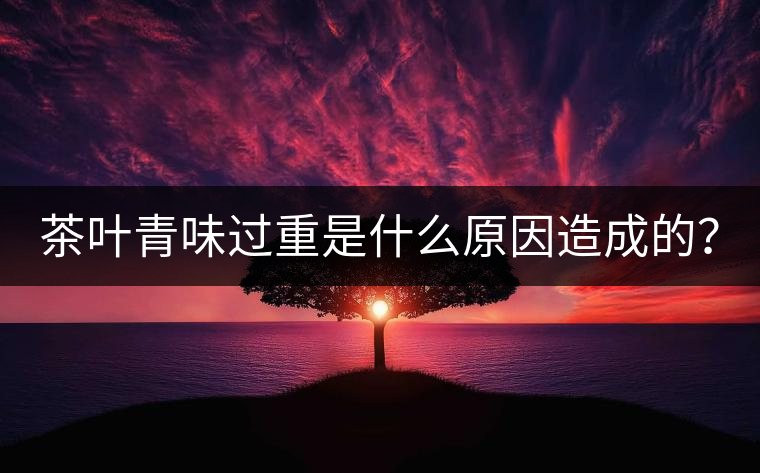 茶葉青味過重是什么原因造成的？