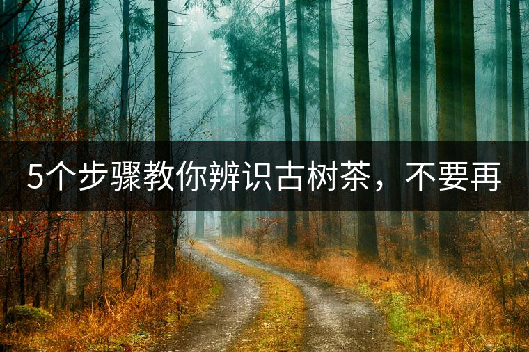 5個(gè)步驟教你辨識(shí)古樹茶，不要再被騙了！