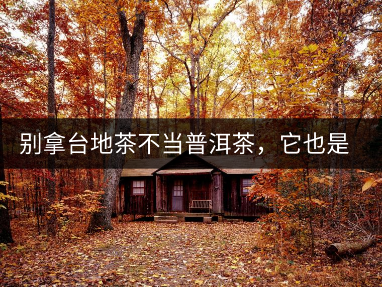 別拿臺(tái)地茶不當(dāng)普洱茶，它也是大葉種喬木