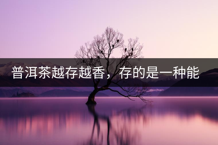 普洱茶越存越香，存的是一種能量