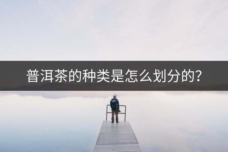 普洱茶的種類(lèi)是怎么劃分的？
