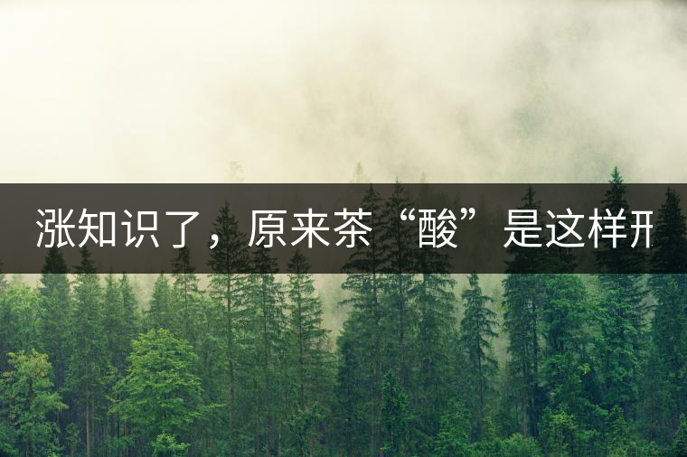 漲知識了，原來茶“酸”是這樣形成的！