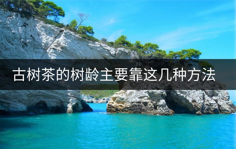 古樹(shù)茶的樹(shù)齡主要靠這幾種方法測(cè)量 古樹(shù)茶的樹(shù)齡主要靠這幾種方法測(cè)量