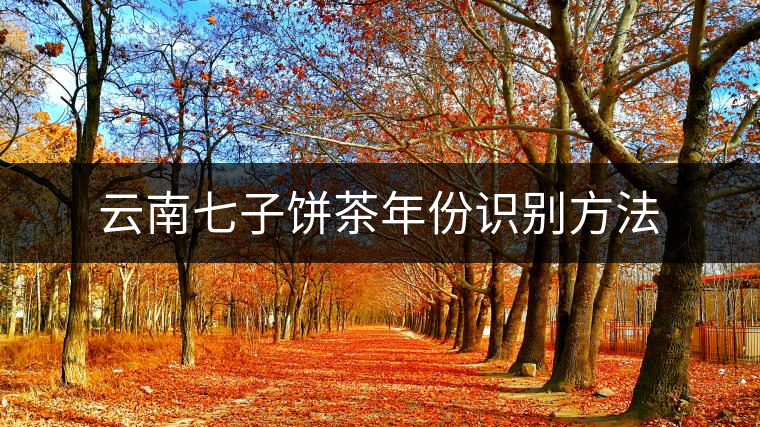 云南七子餅茶年份識(shí)別方法