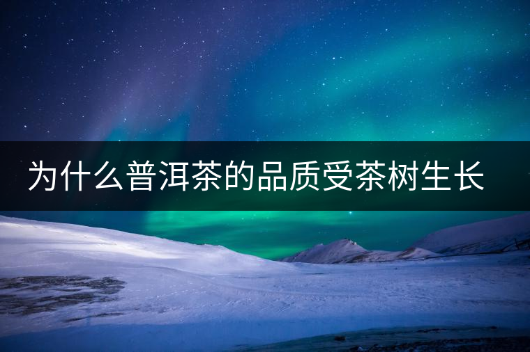 為什么普洱茶的品質(zhì)受茶樹生長(zhǎng)環(huán)境的影響？