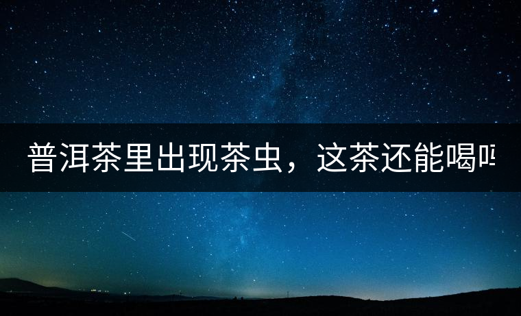 普洱茶里出現(xiàn)茶蟲，這茶還能喝嗎？
