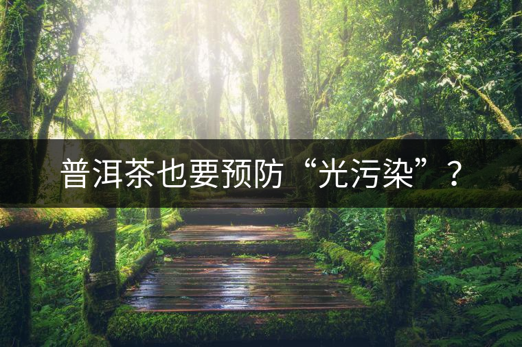普洱茶也要預(yù)防“光污染”？
