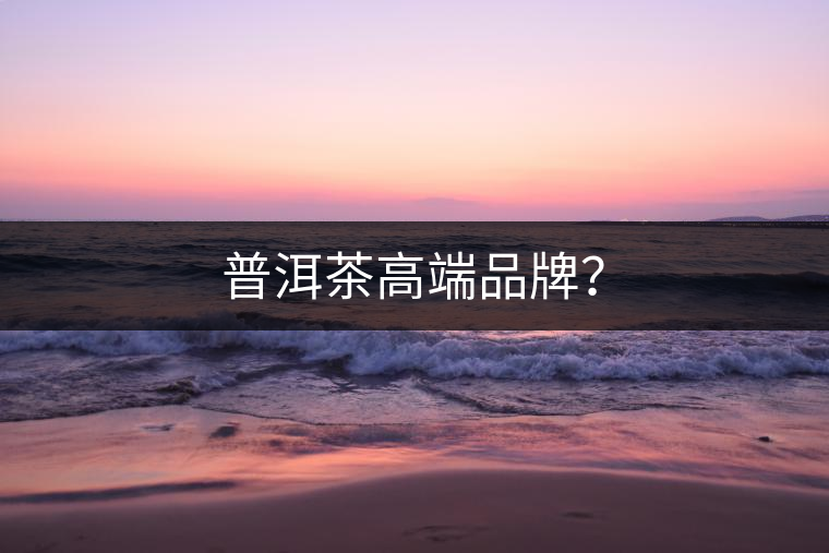 普洱茶高端品牌？