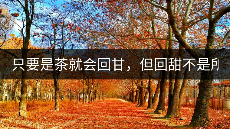 只要是茶就會回甘，但回甜不是所有茶都有！
