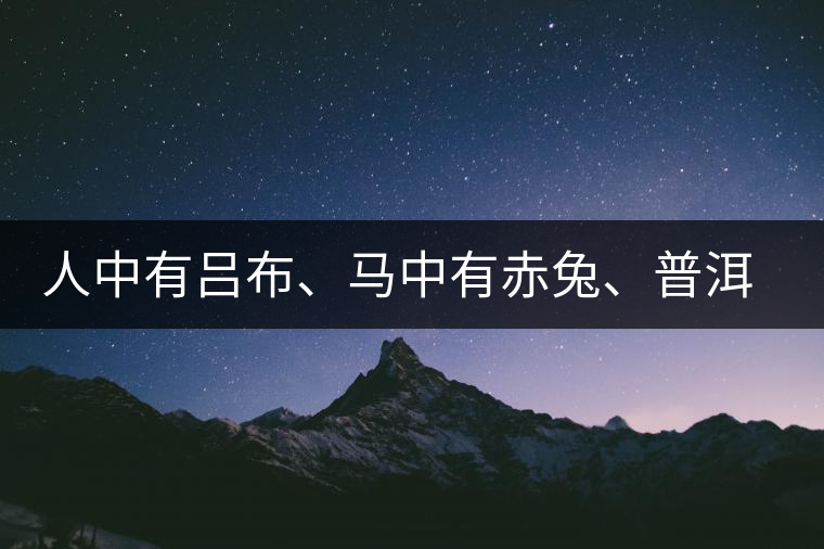 人中有呂布、馬中有赤兔、普洱中有茶化石：碎銀子！