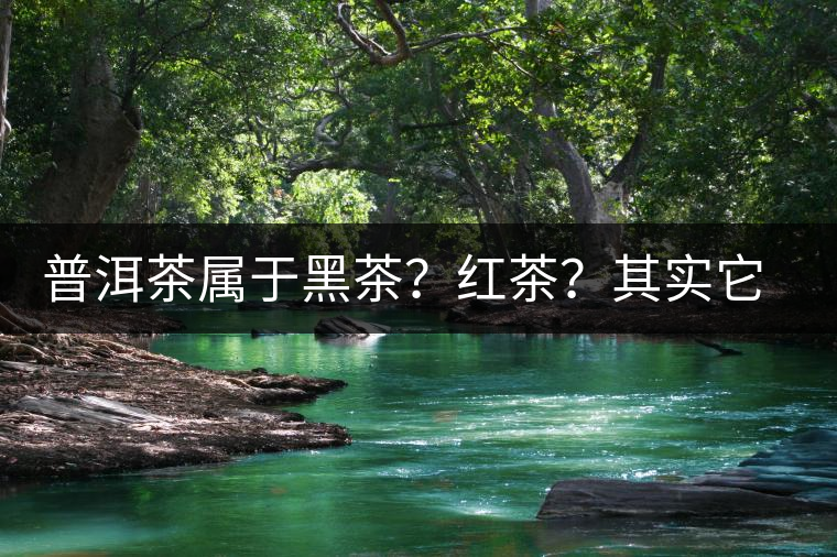 普洱茶屬于黑茶？紅茶？其實它就叫“普洱茶”