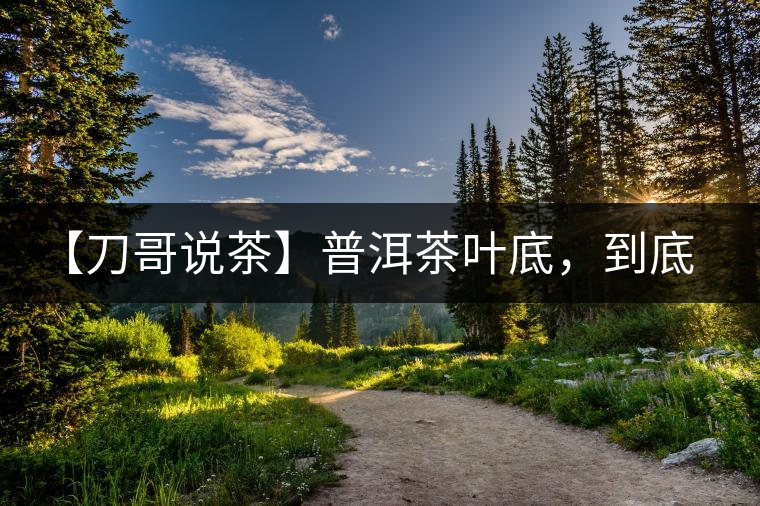 【刀哥說茶】普洱茶葉底，到底藏有多少玄機(jī)？