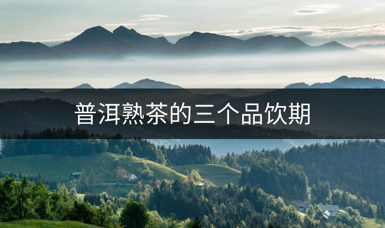 普洱熟茶的三個(gè)品飲期 普洱熟茶的三個(gè)品飲期