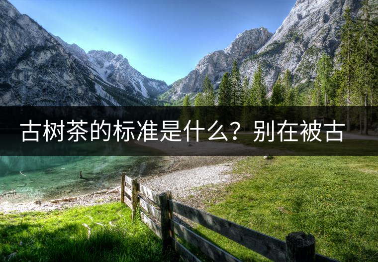 古樹茶的標(biāo)準(zhǔn)是什么？別在被古樹茶欺騙了