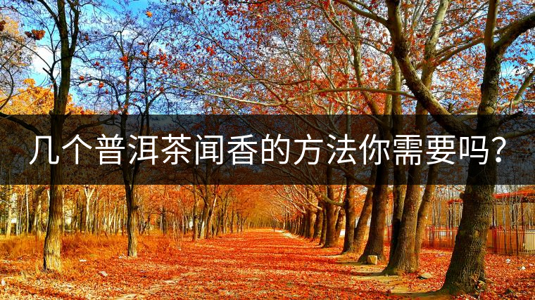 幾個(gè)普洱茶聞香的方法你需要嗎？