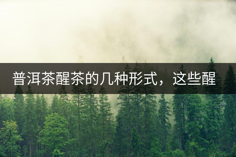 普洱茶醒茶的幾種形式，這些醒茶方法你都會(huì)了嗎？