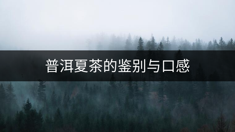 普洱夏茶的鑒別與口感