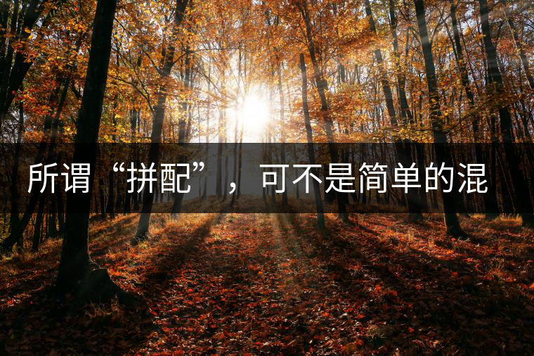 所謂“拼配”，可不是簡(jiǎn)單的混搭