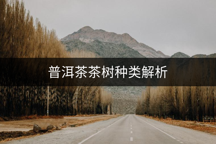 普洱茶茶樹(shù)種類解析