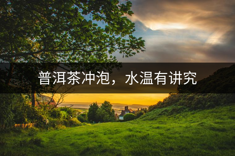 普洱茶沖泡，水溫有講究