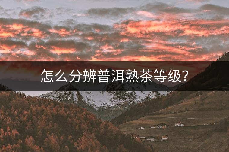 怎么分辨普洱熟茶等級(jí)？