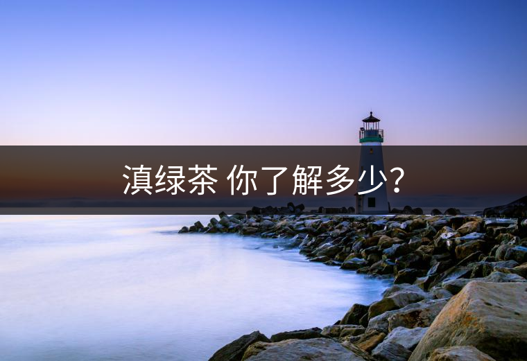 滇綠茶 你了解多少？