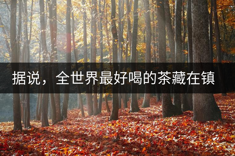 據(jù)說，全世界最好喝的茶藏在鎮(zhèn)沅