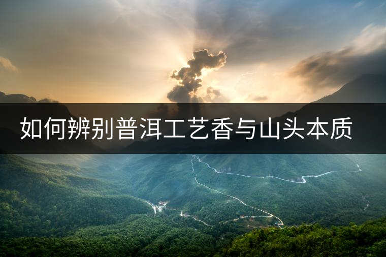 如何辨別普洱工藝香與山頭本質香 如何辨別普洱工藝香與山頭本質香