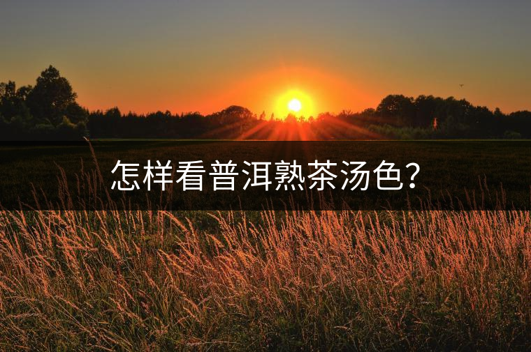 怎樣看普洱熟茶湯色？