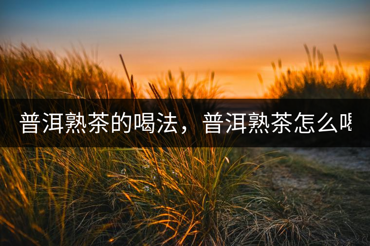 普洱熟茶的喝法，普洱熟茶怎么喝？