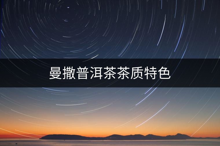 曼撒普洱茶茶質特色 曼撒普洱茶茶質特色
