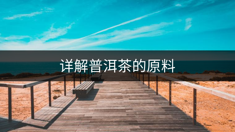 詳解普洱茶的原料 詳解普洱茶的原料