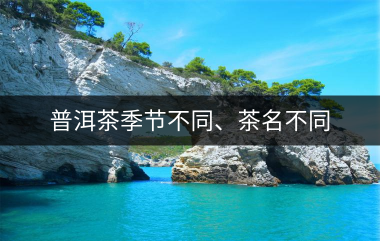 普洱茶季節(jié)不同、茶名不同