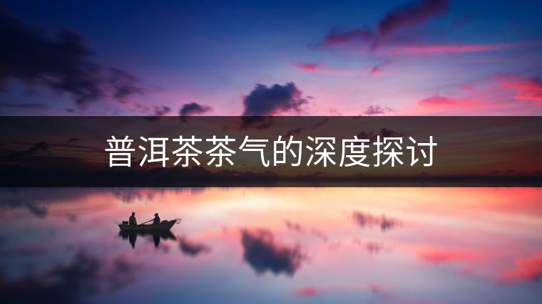 普洱茶茶氣的深度探討