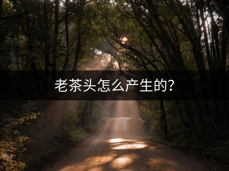 老茶頭怎么產(chǎn)生的? 老茶頭怎么產(chǎn)生的?