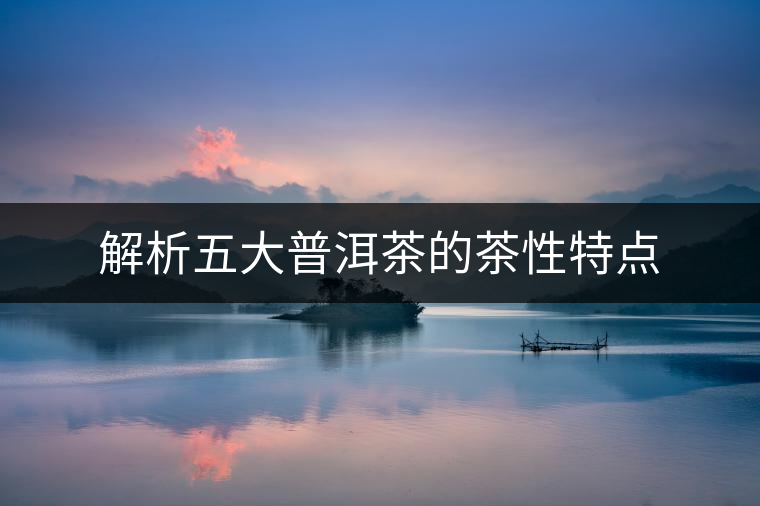 解析五大普洱茶的茶性特點