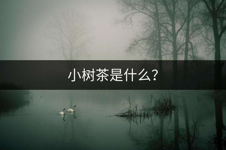 小樹茶是什么？