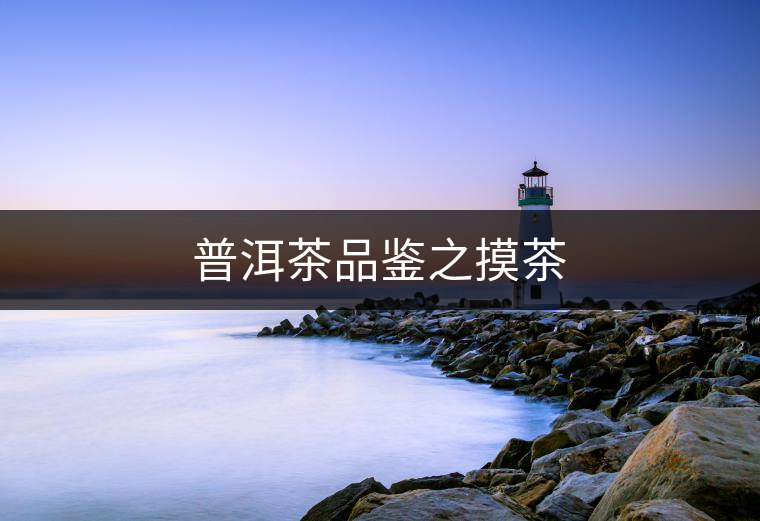 普洱茶品鑒之摸茶