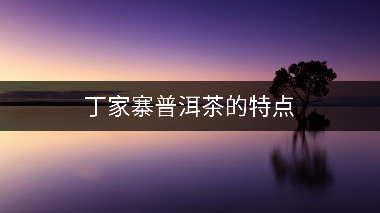 丁家寨普洱茶的特點