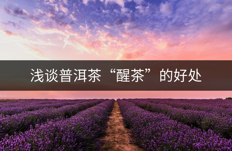 淺談普洱茶“醒茶”的好處