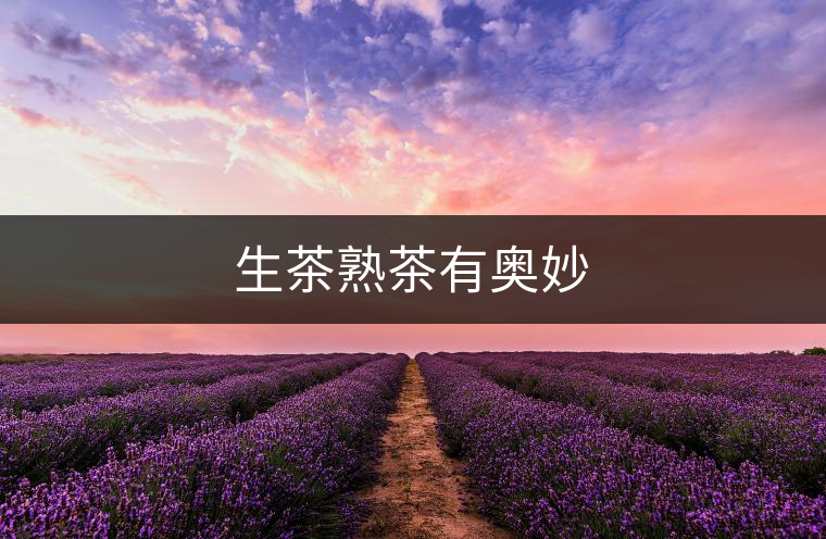 生茶熟茶有奧妙 生茶熟茶有奧妙