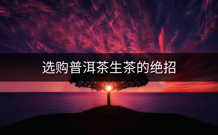 選購普洱茶生茶的絕招