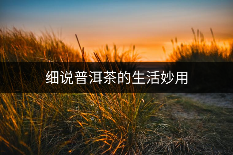 細(xì)說(shuō)普洱茶的生活妙用
