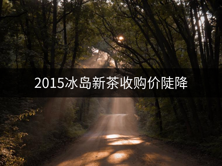 2015冰島新茶收購價陡降 2015冰島新茶收購價陡降
