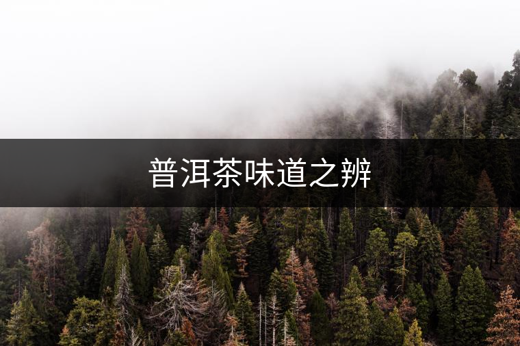 普洱茶味道之辨