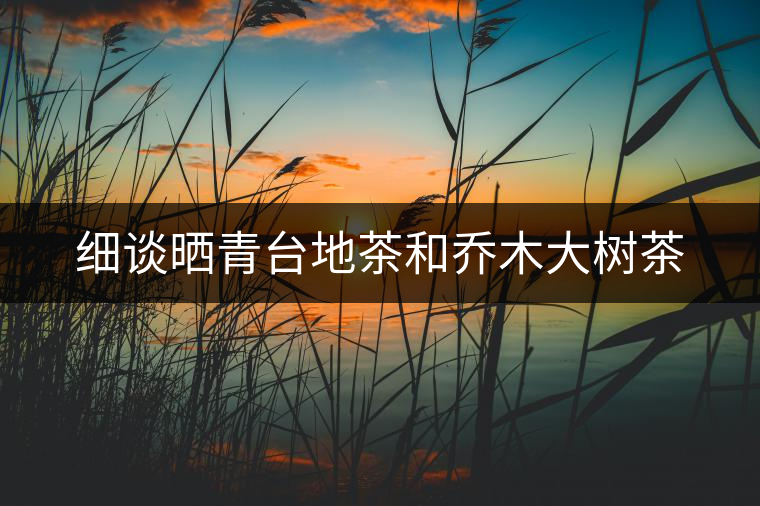 細談曬青臺地茶和喬木大樹茶 細談曬青臺地茶和喬木大樹茶